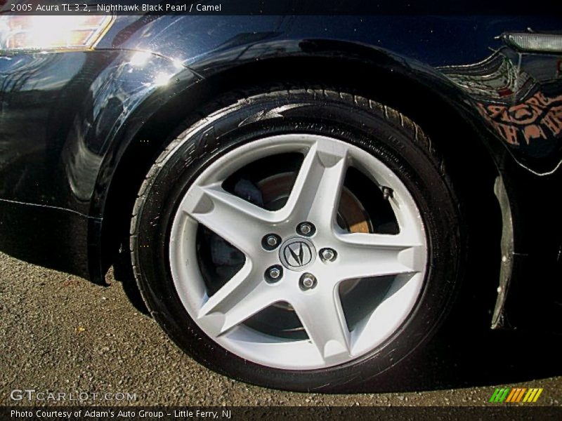 Nighthawk Black Pearl / Camel 2005 Acura TL 3.2
