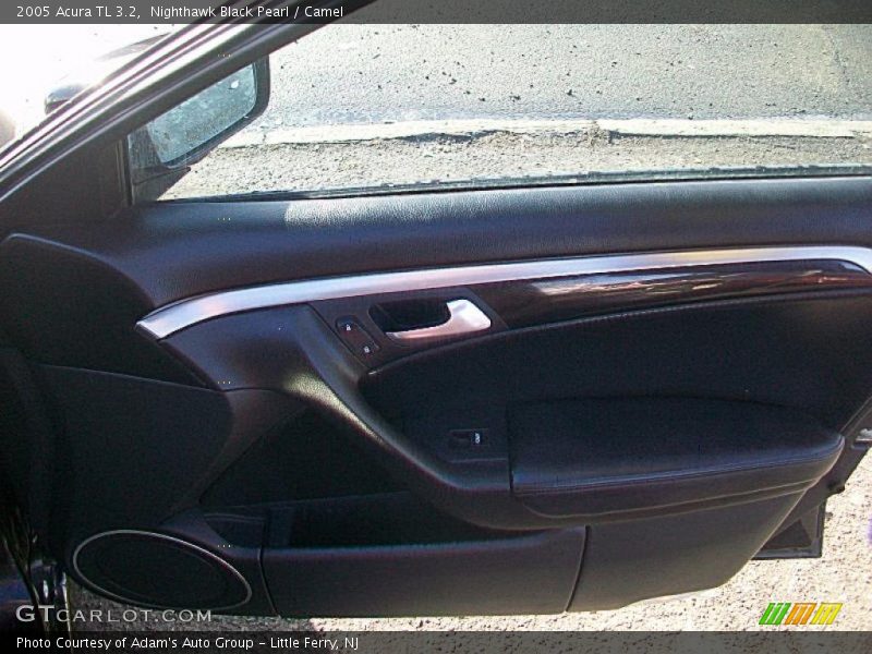 Nighthawk Black Pearl / Camel 2005 Acura TL 3.2