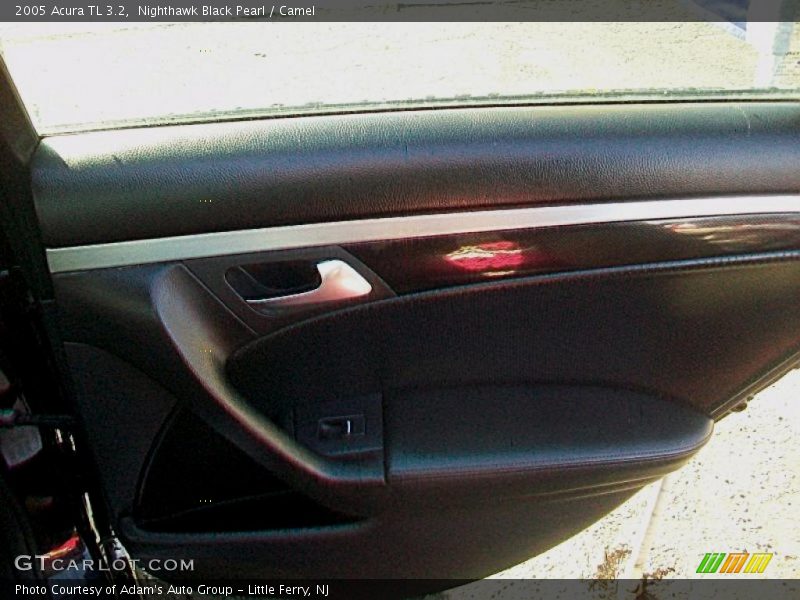 Nighthawk Black Pearl / Camel 2005 Acura TL 3.2