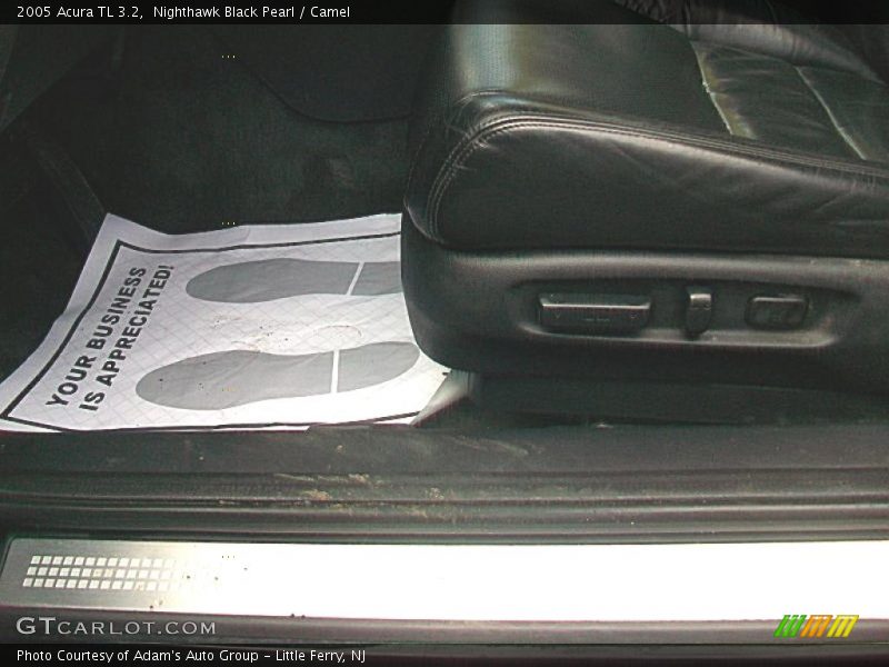 Nighthawk Black Pearl / Camel 2005 Acura TL 3.2