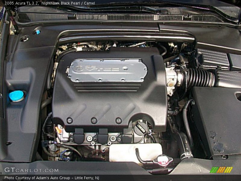 Nighthawk Black Pearl / Camel 2005 Acura TL 3.2