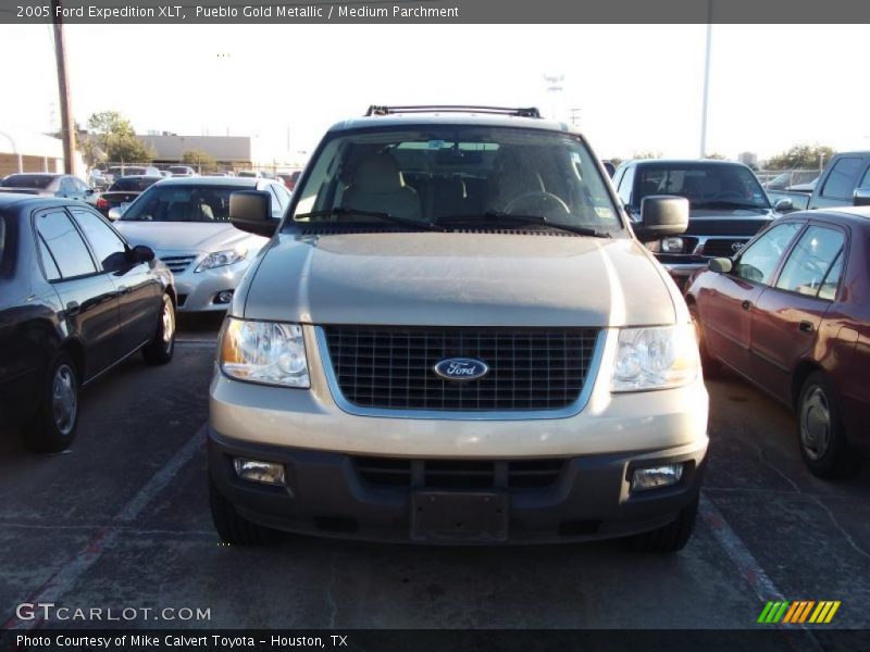 Pueblo Gold Metallic / Medium Parchment 2005 Ford Expedition XLT