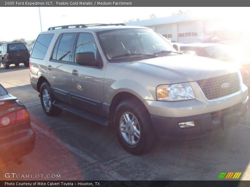 Pueblo Gold Metallic / Medium Parchment 2005 Ford Expedition XLT