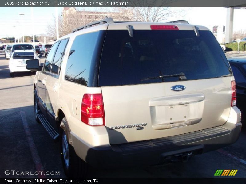 Pueblo Gold Metallic / Medium Parchment 2005 Ford Expedition XLT