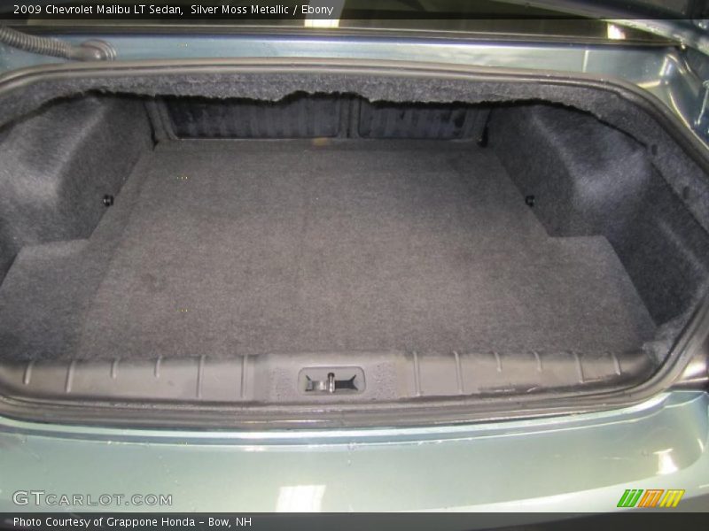 Silver Moss Metallic / Ebony 2009 Chevrolet Malibu LT Sedan