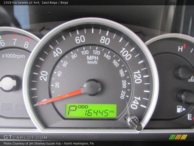 Sand Beige / Beige 2009 Kia Sorento LX 4x4