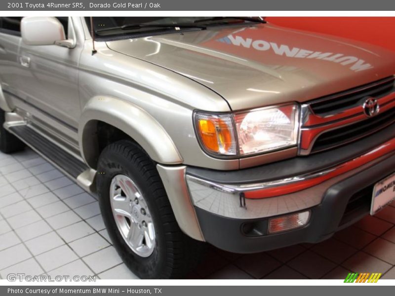 Dorado Gold Pearl / Oak 2001 Toyota 4Runner SR5