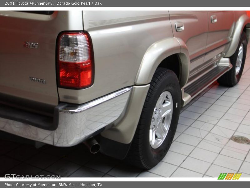 Dorado Gold Pearl / Oak 2001 Toyota 4Runner SR5