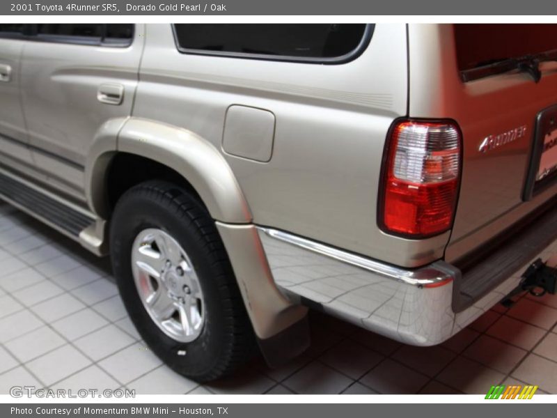 Dorado Gold Pearl / Oak 2001 Toyota 4Runner SR5