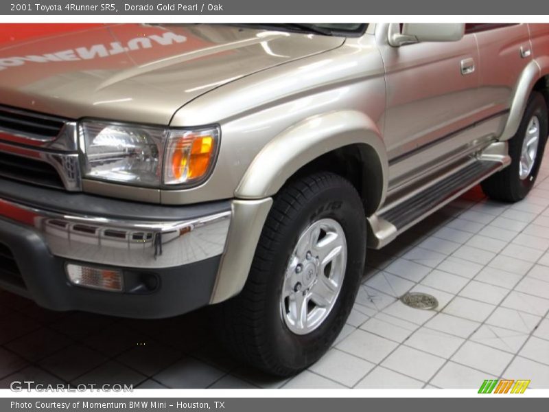 Dorado Gold Pearl / Oak 2001 Toyota 4Runner SR5