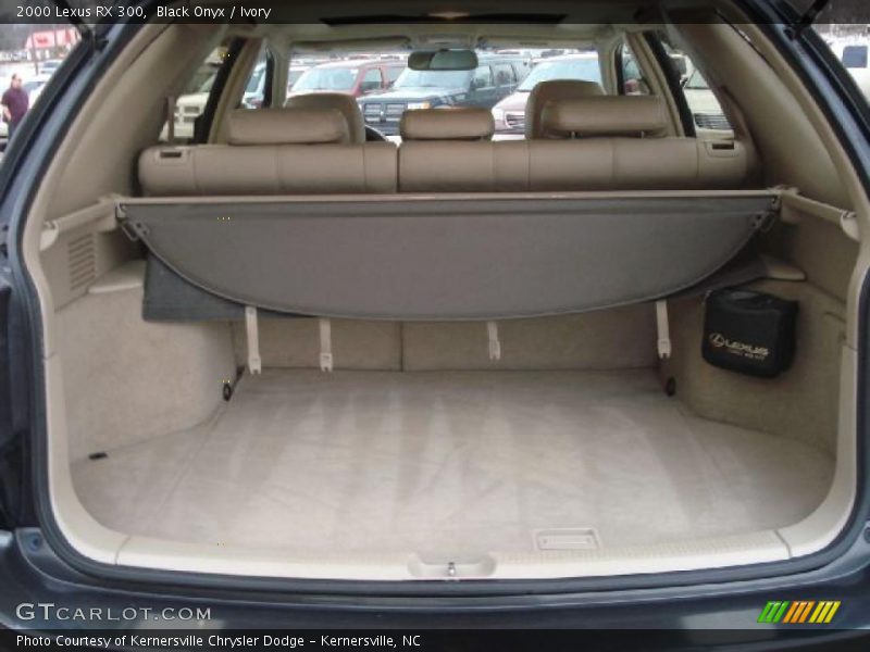 Black Onyx / Ivory 2000 Lexus RX 300