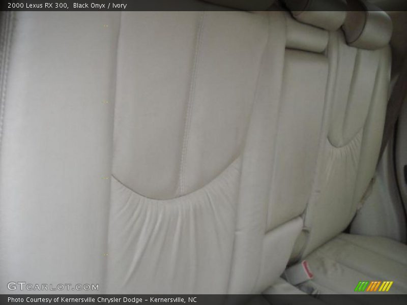 Black Onyx / Ivory 2000 Lexus RX 300