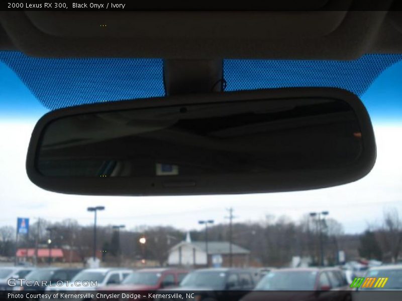 Black Onyx / Ivory 2000 Lexus RX 300
