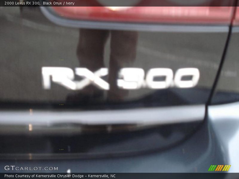 Black Onyx / Ivory 2000 Lexus RX 300