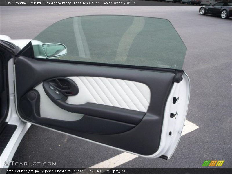 Door Panel of 1999 Firebird 30th Anniversary Trans Am Coupe