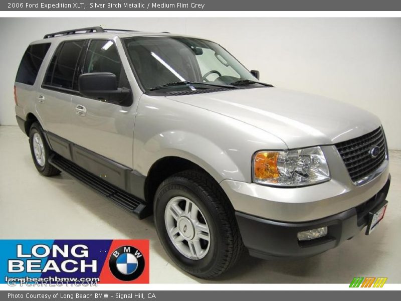 Silver Birch Metallic / Medium Flint Grey 2006 Ford Expedition XLT