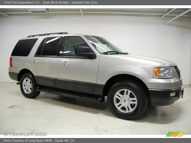 Silver Birch Metallic / Medium Flint Grey 2006 Ford Expedition XLT