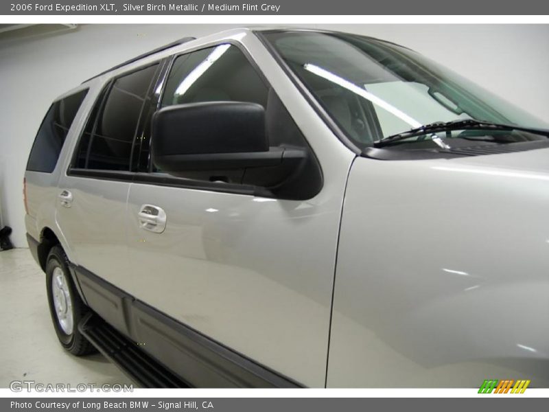 Silver Birch Metallic / Medium Flint Grey 2006 Ford Expedition XLT