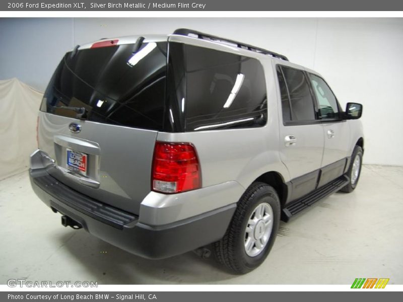 Silver Birch Metallic / Medium Flint Grey 2006 Ford Expedition XLT