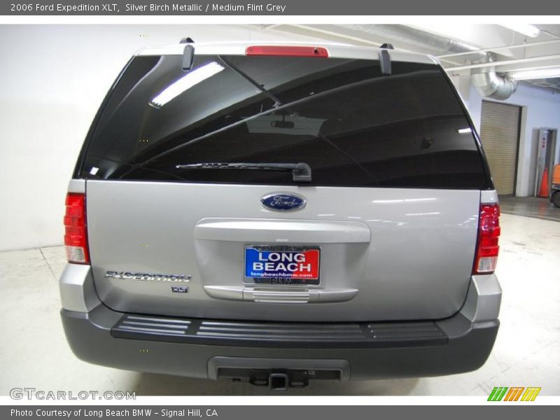 Silver Birch Metallic / Medium Flint Grey 2006 Ford Expedition XLT