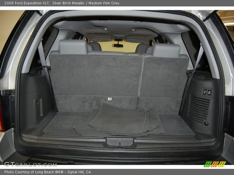 Silver Birch Metallic / Medium Flint Grey 2006 Ford Expedition XLT
