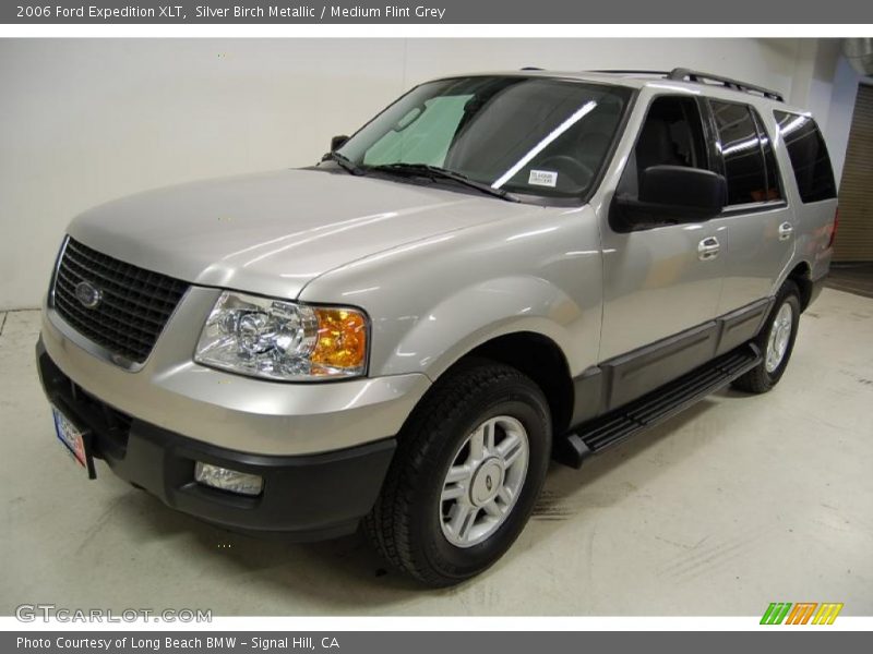 Silver Birch Metallic / Medium Flint Grey 2006 Ford Expedition XLT