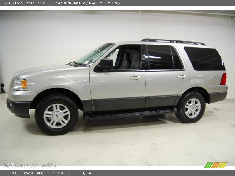 Silver Birch Metallic / Medium Flint Grey 2006 Ford Expedition XLT