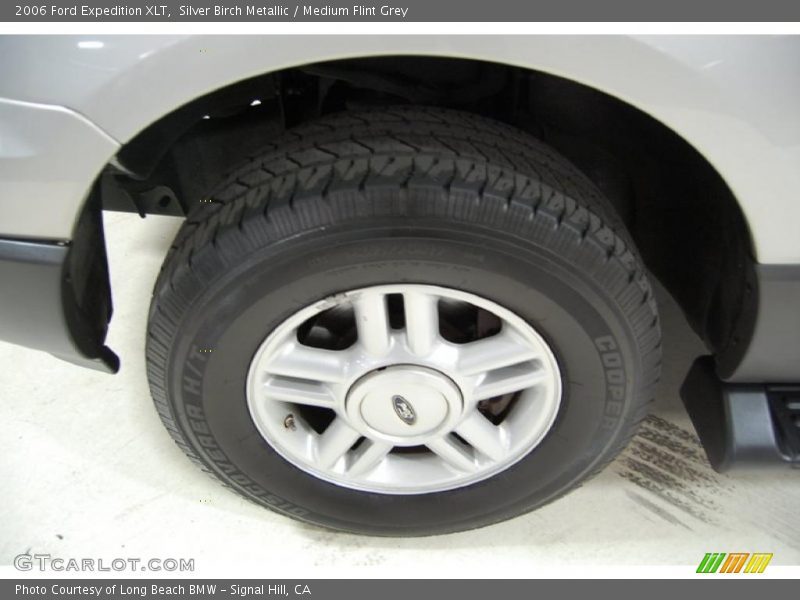 Silver Birch Metallic / Medium Flint Grey 2006 Ford Expedition XLT