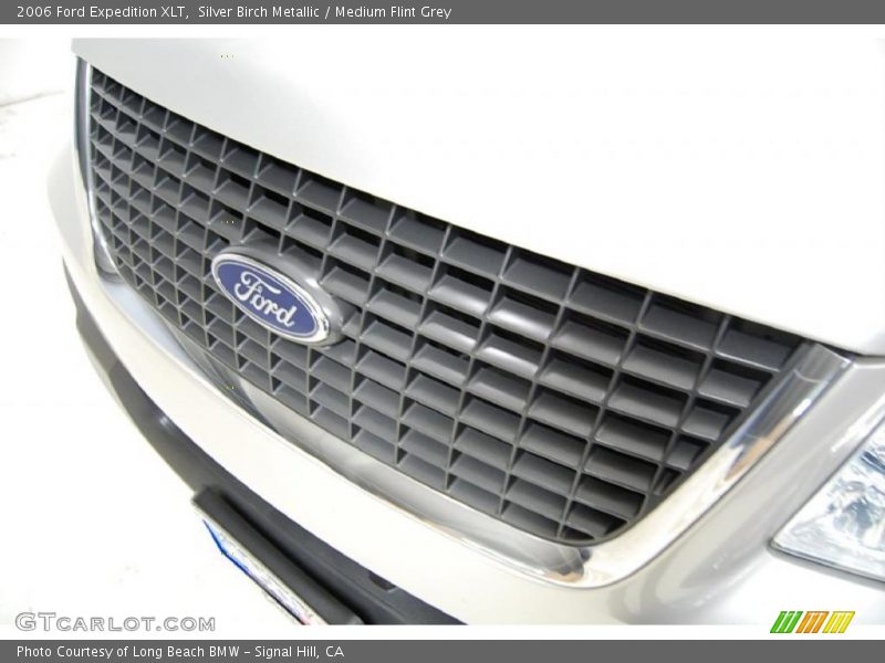 Silver Birch Metallic / Medium Flint Grey 2006 Ford Expedition XLT