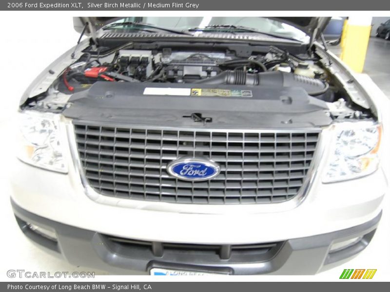 Silver Birch Metallic / Medium Flint Grey 2006 Ford Expedition XLT