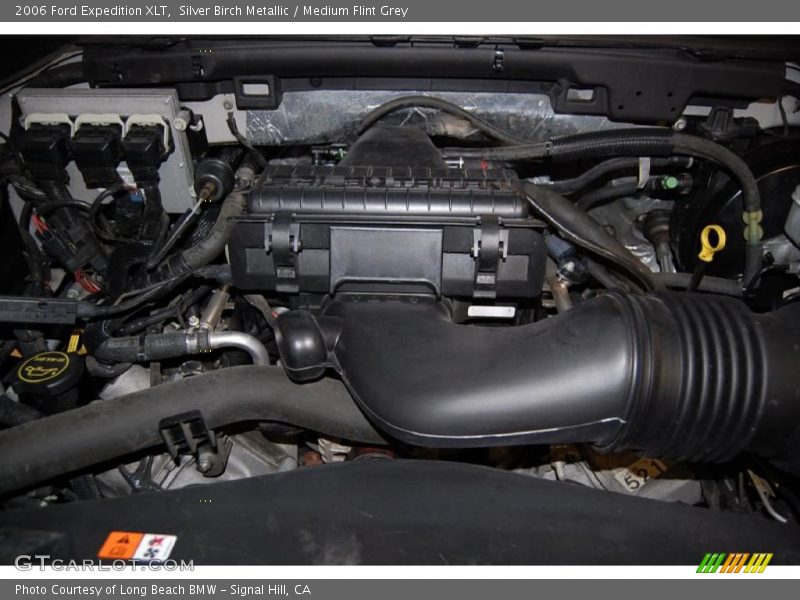 Silver Birch Metallic / Medium Flint Grey 2006 Ford Expedition XLT