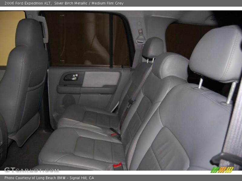 Silver Birch Metallic / Medium Flint Grey 2006 Ford Expedition XLT