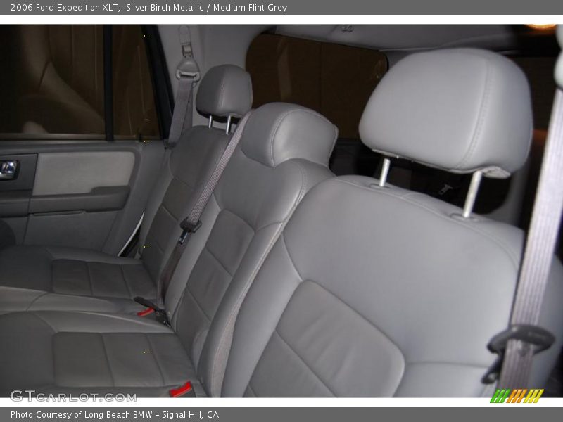 Silver Birch Metallic / Medium Flint Grey 2006 Ford Expedition XLT