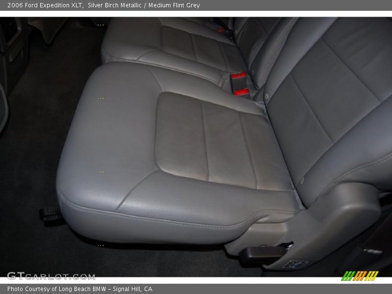 Silver Birch Metallic / Medium Flint Grey 2006 Ford Expedition XLT
