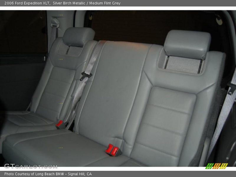 Silver Birch Metallic / Medium Flint Grey 2006 Ford Expedition XLT