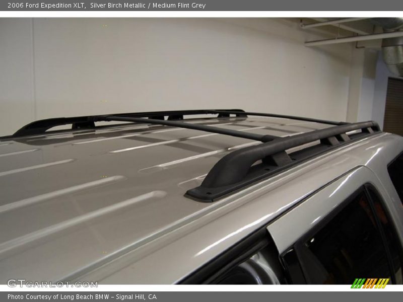 Silver Birch Metallic / Medium Flint Grey 2006 Ford Expedition XLT