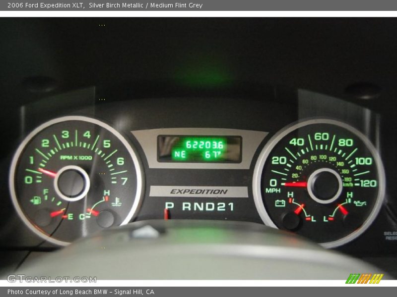 Silver Birch Metallic / Medium Flint Grey 2006 Ford Expedition XLT