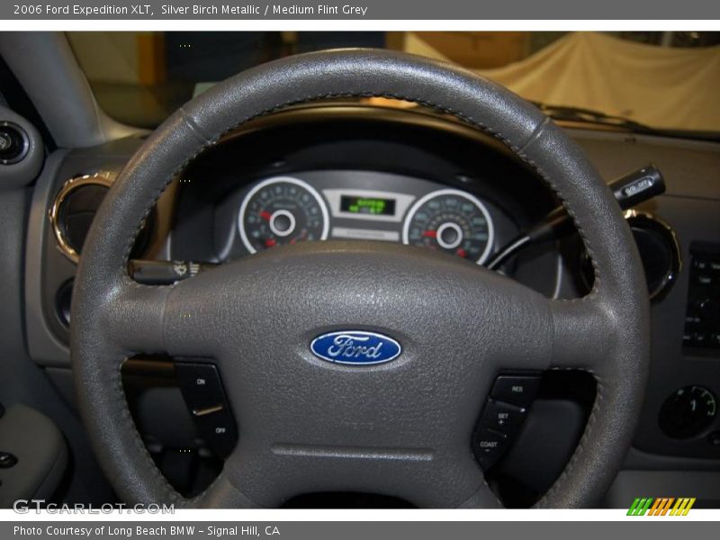 Silver Birch Metallic / Medium Flint Grey 2006 Ford Expedition XLT