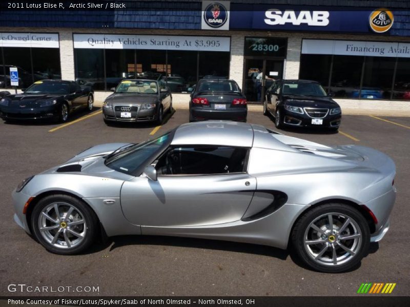  2011 Elise R Arctic Silver