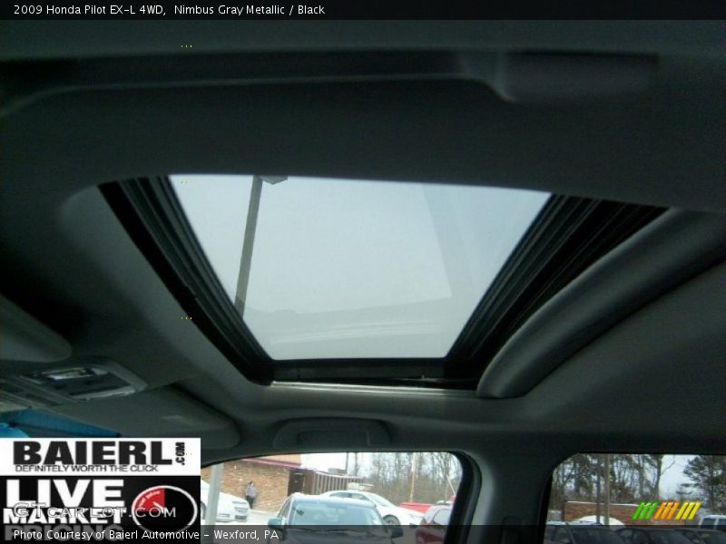 Nimbus Gray Metallic / Black 2009 Honda Pilot EX-L 4WD