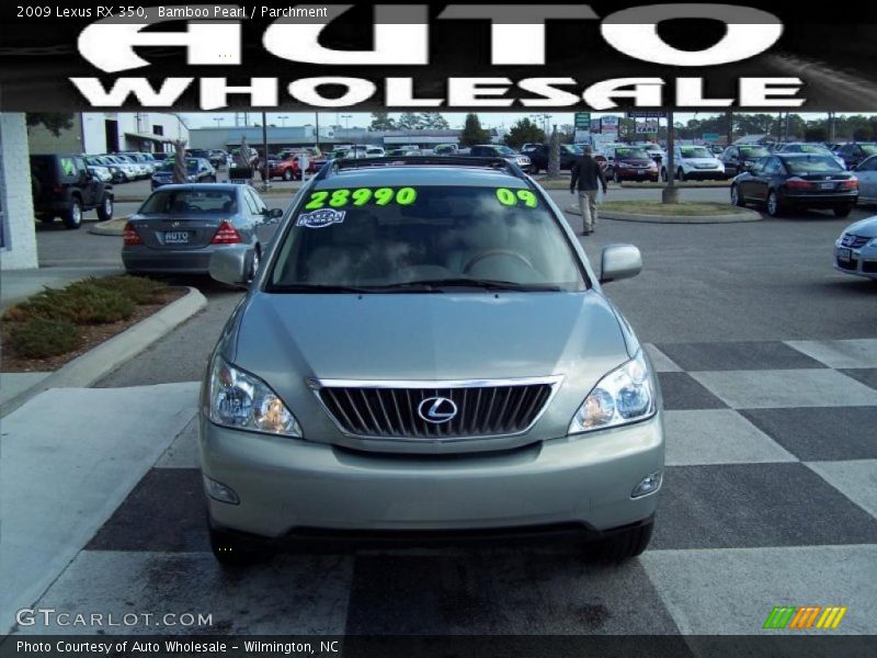 Bamboo Pearl / Parchment 2009 Lexus RX 350
