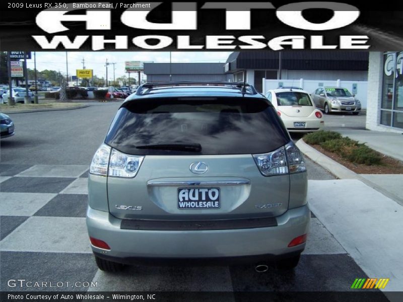 Bamboo Pearl / Parchment 2009 Lexus RX 350