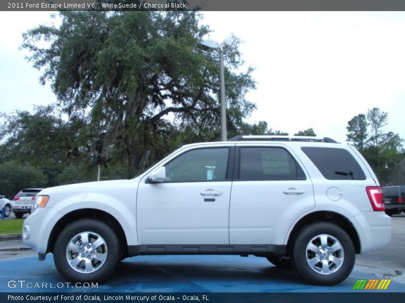 White Suede / Charcoal Black 2011 Ford Escape Limited V6