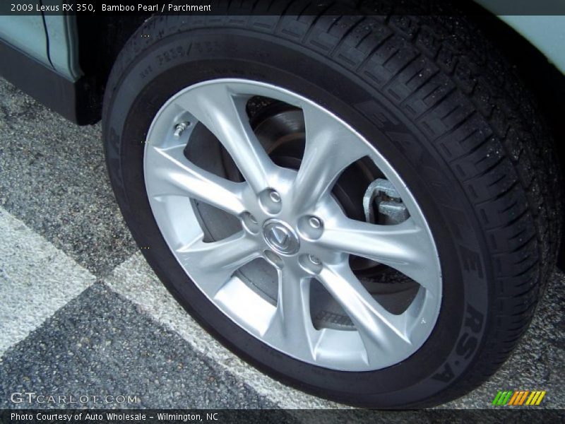 Bamboo Pearl / Parchment 2009 Lexus RX 350