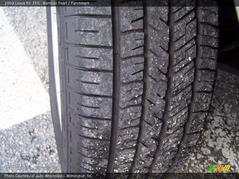 Bamboo Pearl / Parchment 2009 Lexus RX 350