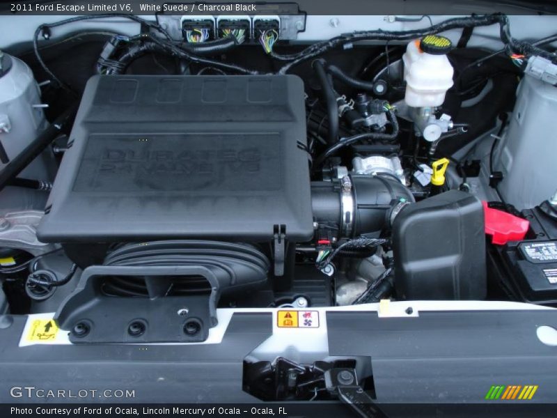 White Suede / Charcoal Black 2011 Ford Escape Limited V6