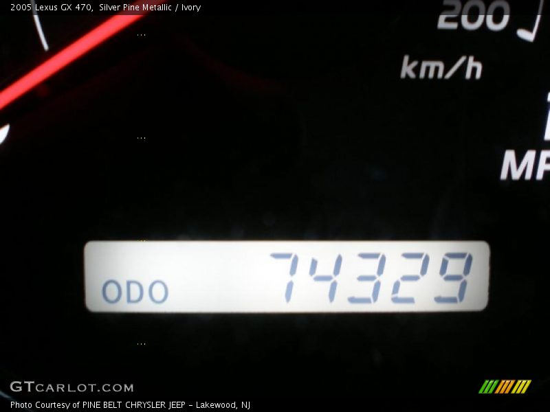 Silver Pine Metallic / Ivory 2005 Lexus GX 470