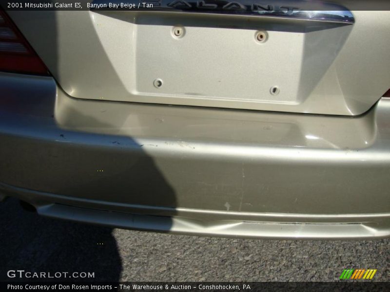 Banyon Bay Beige / Tan 2001 Mitsubishi Galant ES