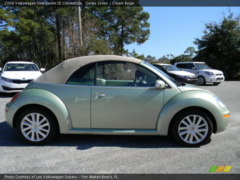Gecko Green / Cream Beige 2008 Volkswagen New Beetle SE Convertible