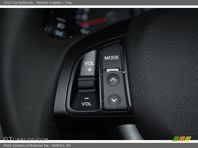 Platinum Graphite / Gray 2011 Kia Optima EX